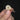 Streaked Bulbul Skulls