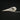 Collared Kingfisher Skull