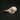 Oriental Magpie Skull
