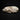 Baikal Seal Skulls