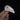 Great Blue Turaco Skull