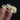 Sharp-nosed Viper Snake Skull