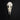 Juvenile Herring Gull Skull