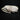 Juvenile Grey Seal Bull Pup Skull with Baculum