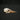 Little Grebe Skull