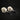 Torresian Crow Skulls