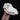 Border Collie Dog Skull #1