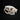 Large Adult Himalayan Porcupine Skull