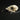 Greater Coucal Skull