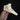Male Chinese Swan Goose Skull