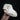 Basenji Cross Dog Skull