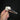 Laughing Kookaburra Skull