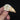 Bearded Barbet Skull