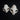 Geriatric Persian Cross Cat Skull