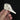 Male Mandarin Duck Skull