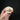 Hoary Bamboo Rat Skull