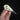 Australian Magpie Skull