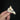 Helmeted Guineafowl Skull