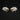 Southern Flying Squirrel Skulls