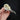 Juvenile Herring Gull Skull