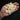 Lot of Real Albatross Vertebrae