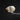 Yellow Grosbeak Skull