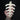 Deer Spine Section