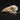 Bearded Barbet Skull