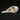 Female Mandarin Duck Skull