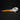 Eurasian Oystercatcher Skull