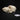 Cavoodle Dog Skull